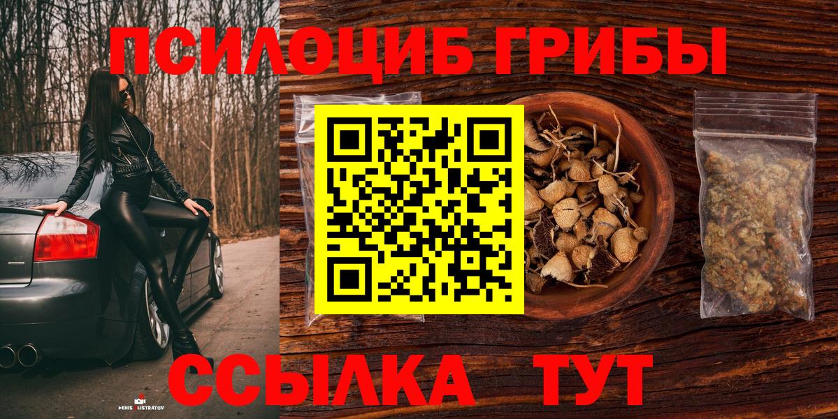 Галлюциногенные грибы прущие грибы Сибай